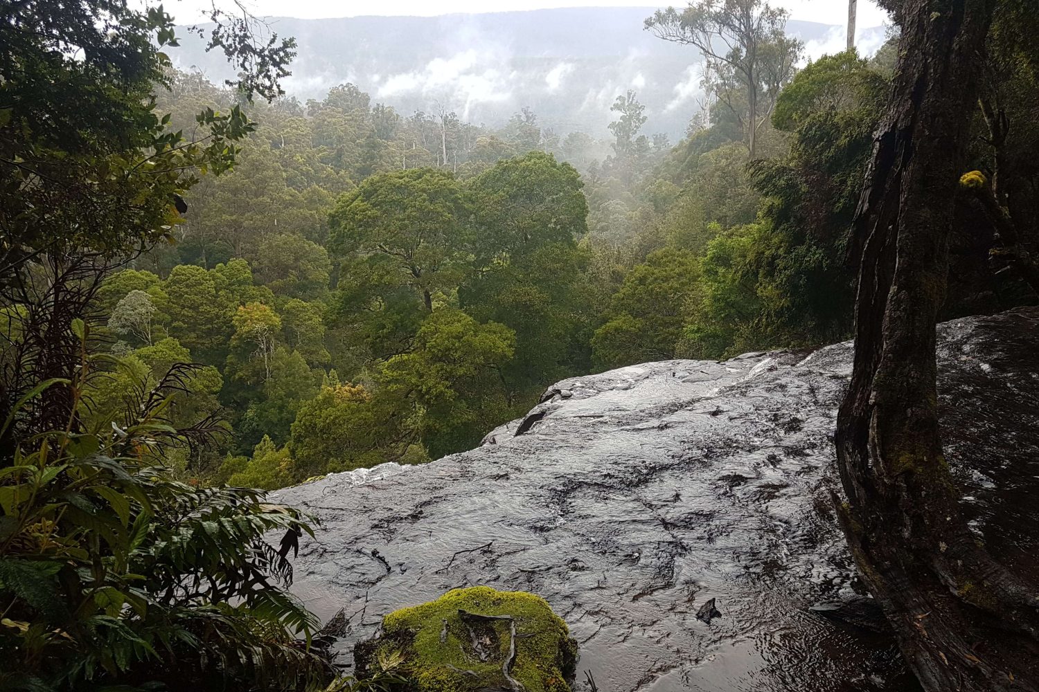 2 Day Cradle Mountain Tour by Wild Tasmania Tours