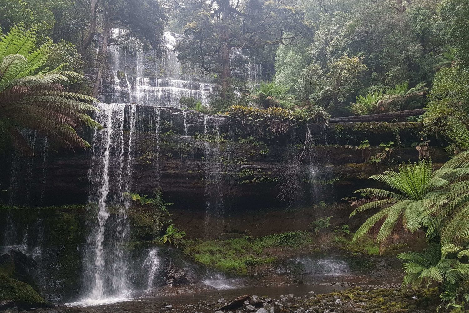 2 Day Cradle Mountain Tour by Wild Tasmania Tours